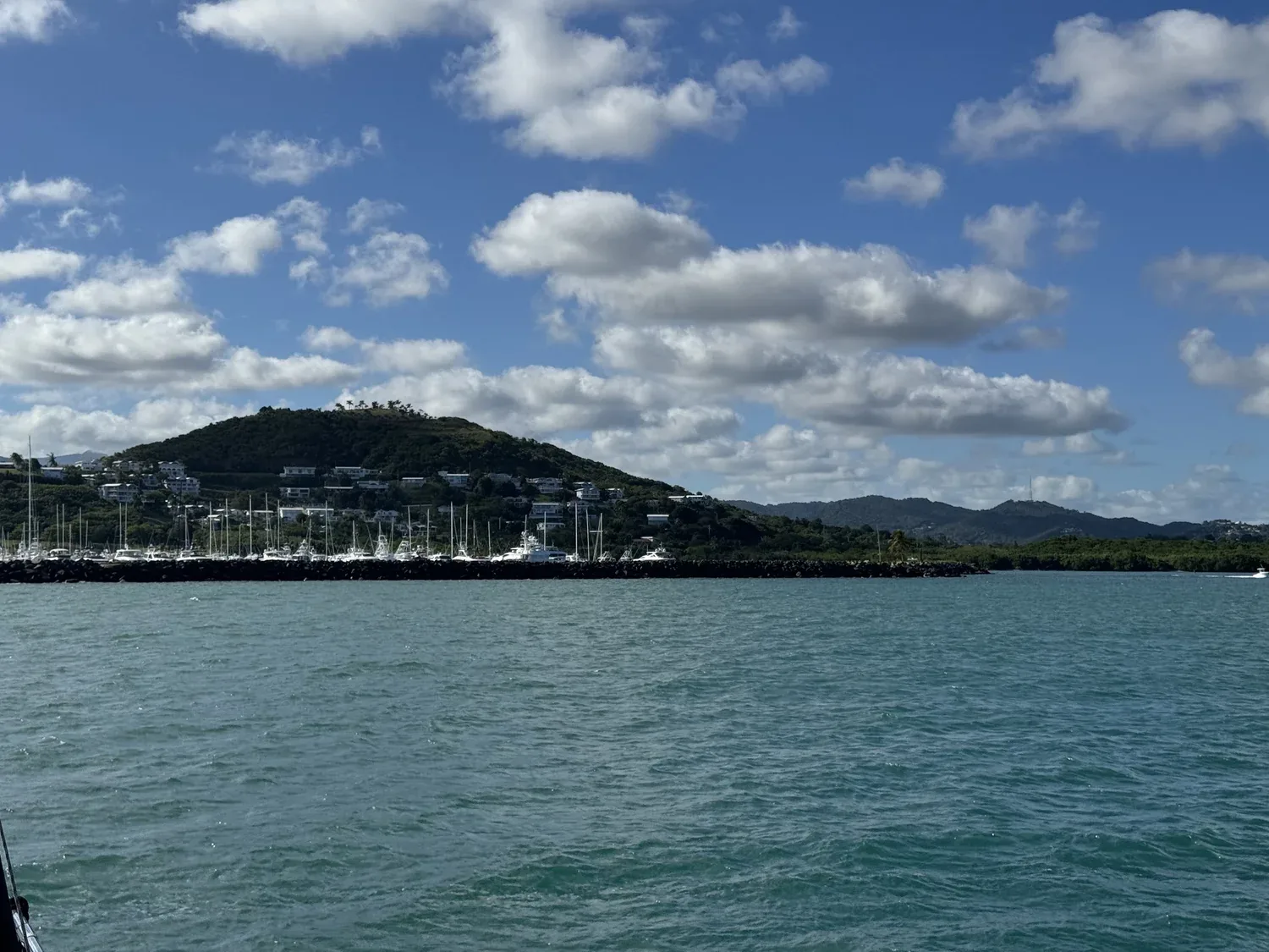 Last Sail4 - 13.jpeg