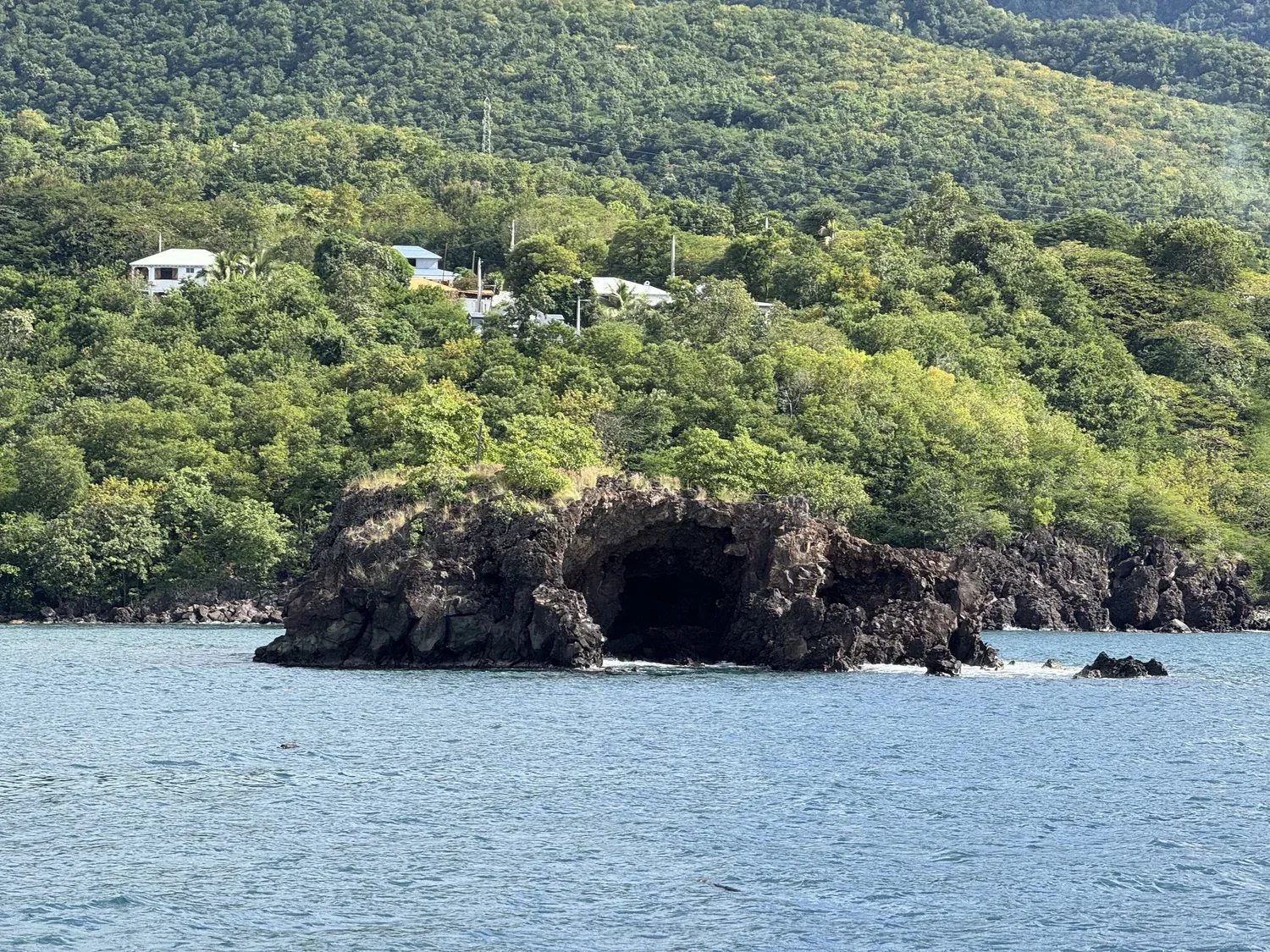 Petit Anse1 Guadaloupe- 18.jpeg