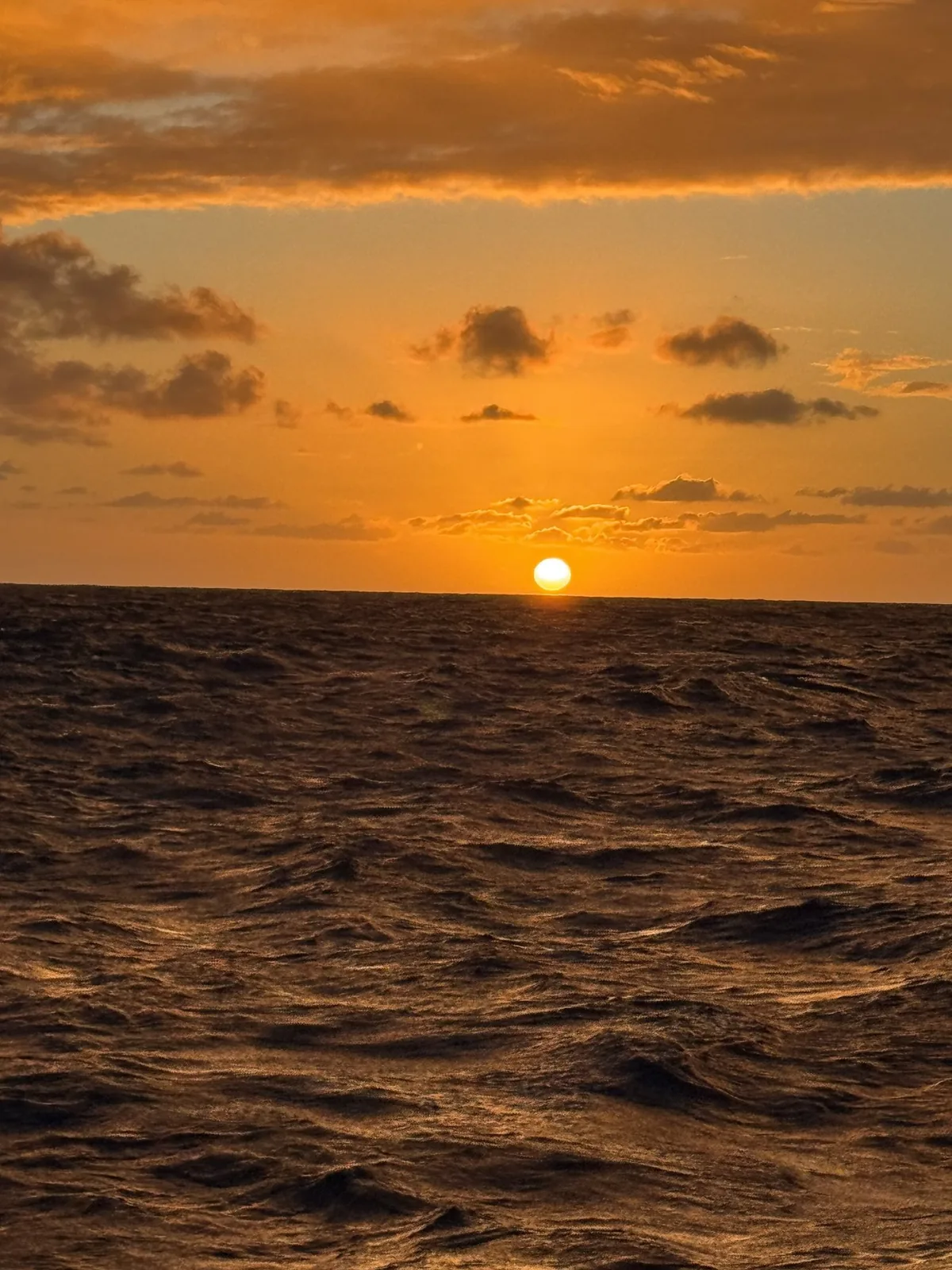 Sunrise 4 - 9.jpeg